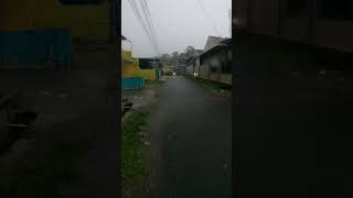 Relaxing Heavy Rain Walk with Thunder and Lightning in the Countryside