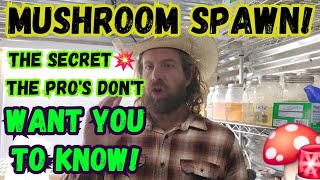 🍄Mushroom Spawn! 🚨Secrets of the Pro's💥#mushroom #farmer #farming #mushrooms #mycology #fungi #farm