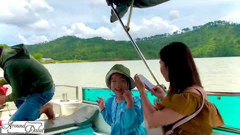 Around Da Lat - hành trình khám phá cây thông cô đơn chi tiết ai cũng có thể đi được nhé😊😊😊😊😊
