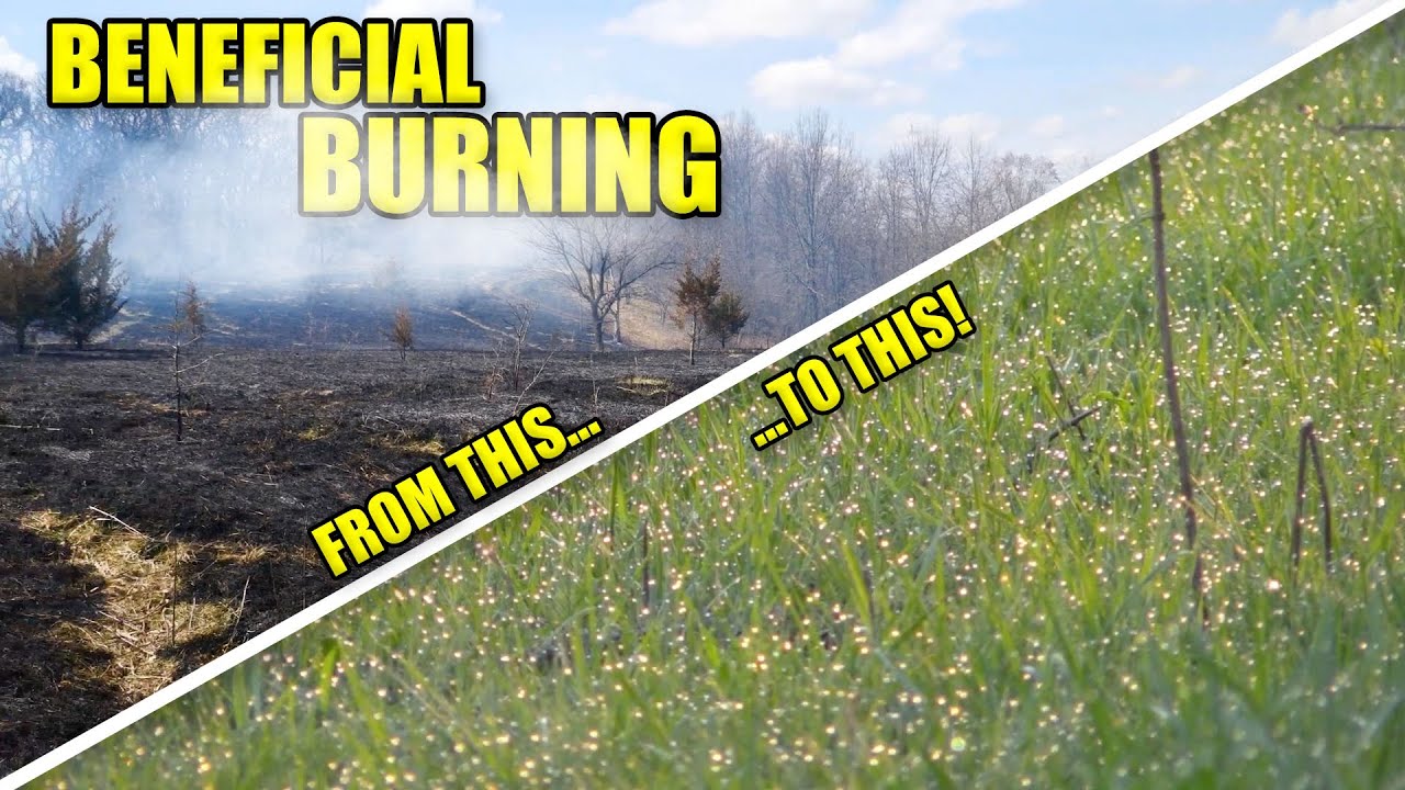 INCREDIBLE Controlled Burn Drone Footage! Improve Your Property!