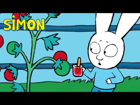 🍅 The Elf that Paints Tomatoes! | Simon | Full episodes Compilation 2hrs S1 | Cartoons for Kids
