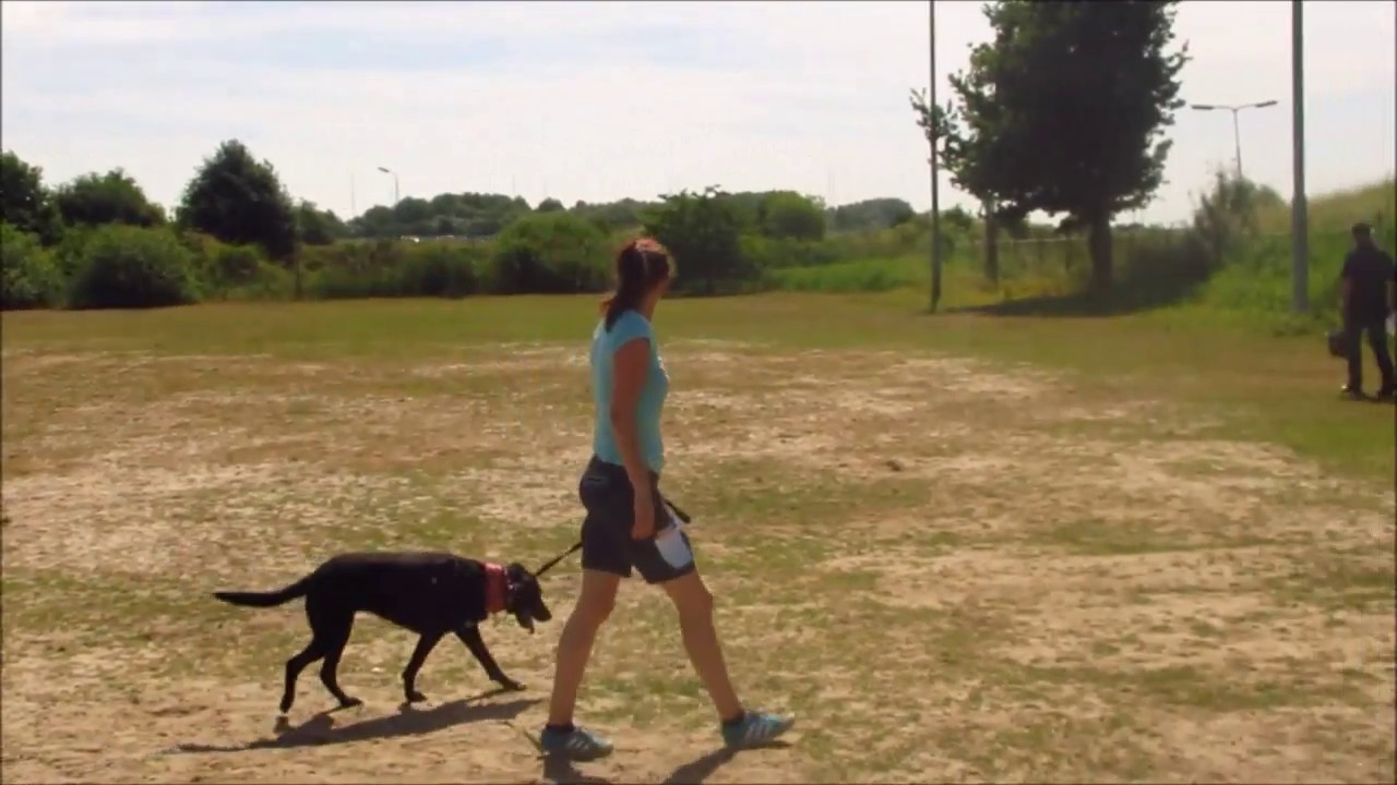 Wendy appel volgoefening