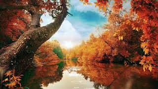 Relaxing Instrumental Music for Focus, Studying, Chill out | relaxdaily B Sides N°1
