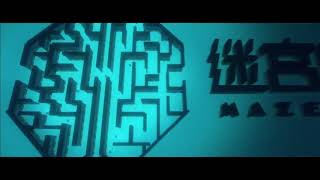 Maze Film Company Limited (2017)