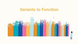 Understanding variant to function research