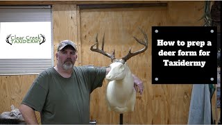 How to prep a deer form for taxidermy