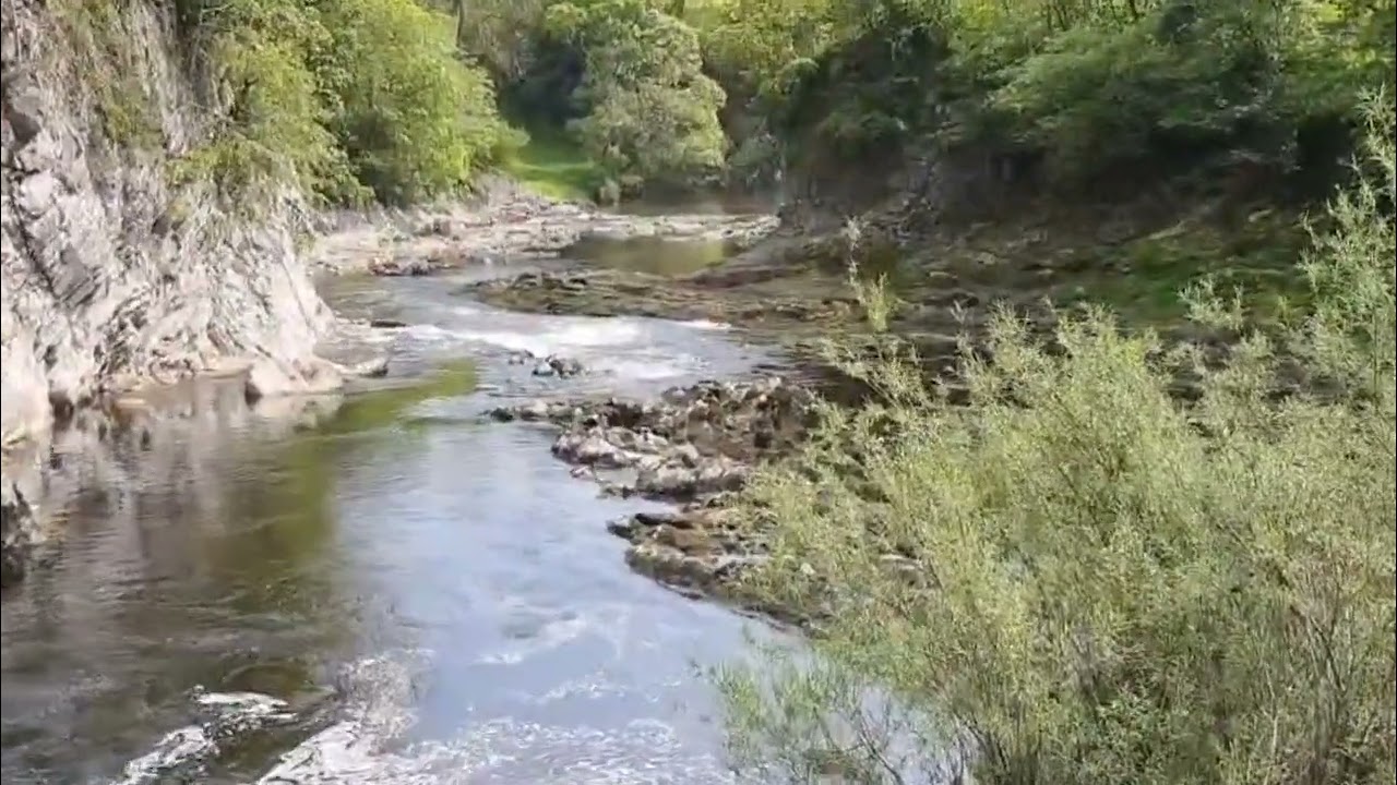 Quran, Surah Baqarah Ayah 0I to 05, English Translations.