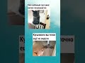#залетиврек #залити #пустьзалетит