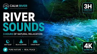 Crystal Clear River Sounds 🌊 3 H of Peaceful Water Flow for Deep Sleep, Relaxation & Meditation | 4K