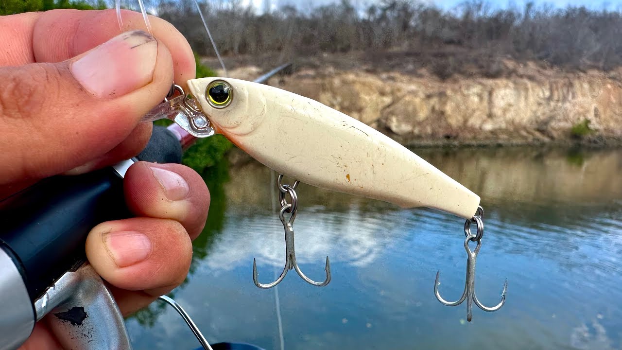 Pesca de RÓBALO en la ORILLA con SEÑUELO MINNOW || JERKBAIT || MEDIA AGUA. Pesca y COCINA.