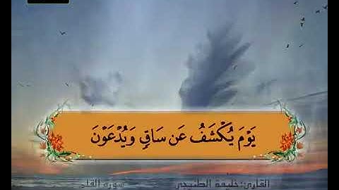 سورة القلم 40 43