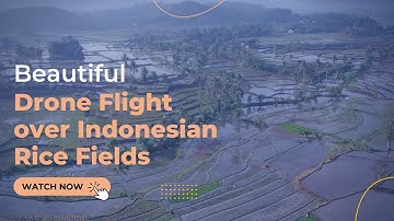 Beautiful Drone Flight over Indonesian Rice Fields
