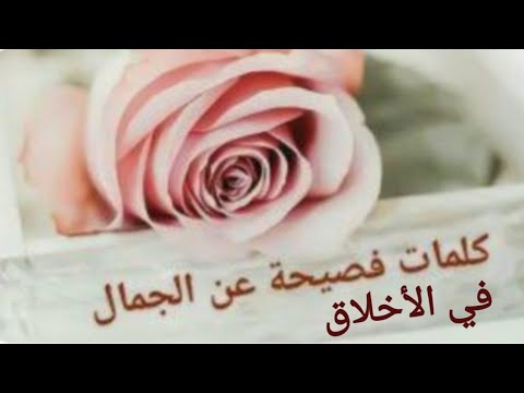 كلام عن الجمال في الأخلاق