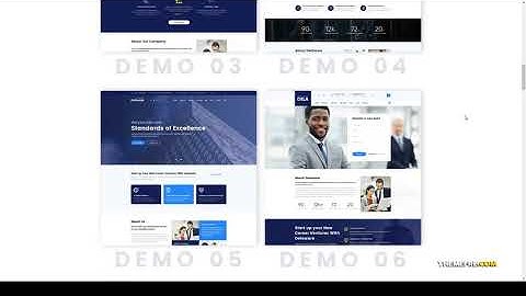 Delaware - Consulting and Finance WordPress Theme simple business modern Build Website