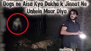 SKO 455 | in kutton ko be-rehmi se marne wala Jinn reocrd | Sufaid Jin | 16 Jun 2026 | horror vlog
