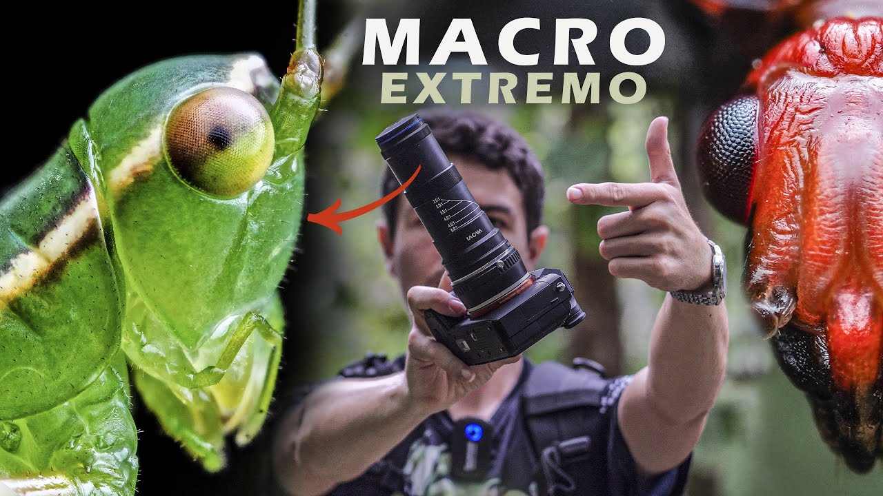 Fotografía MACRO EXTREMO en el campo / Así las hago 🐞​📸​