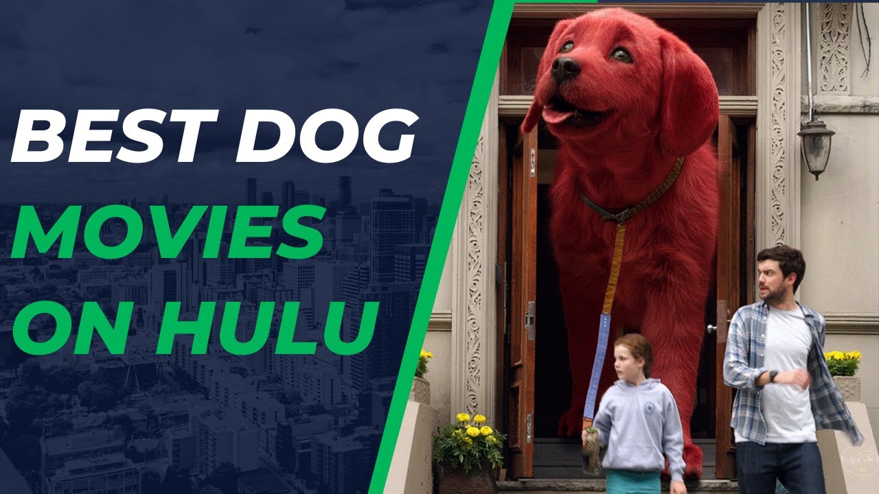 Best Dog Movies on Hulu | Best Puppy Movies on Hulu
