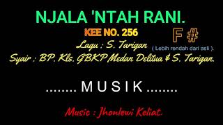 Download Lagu KEE 256 (Karaoke Version). F# (lebih rendah). NJALA 'NTAH RANI. MP3