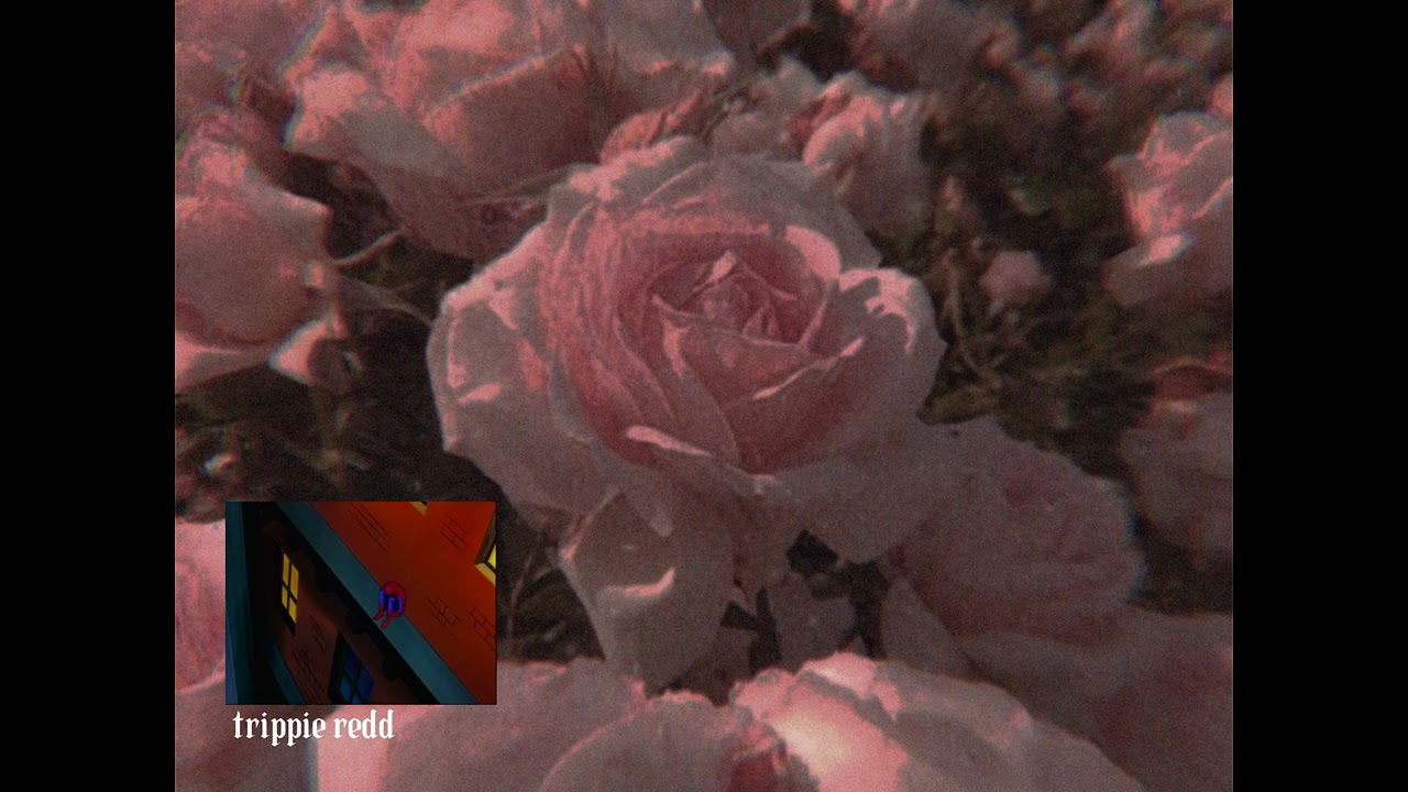 Trippie redd - wish Orchestral [sped up]
