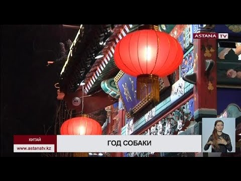 В Китае празднуют Новый год по Лунному календарю