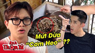 Phá Án #156 - MỨT DỪA "CƠM HEO" Đủ Vị, Bán 1 Lời 10 Khiến Cả Làng Mù Quáng | Anh Thám Tử @VinhTran94