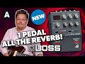 Boss RV200 - A Powerful Palette of Reverbs!