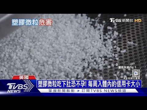 塑膠微粒吃下肚恐不孕! 每周入體內約信用卡大小｜十點不一樣20240718 @TVBSNEWS01