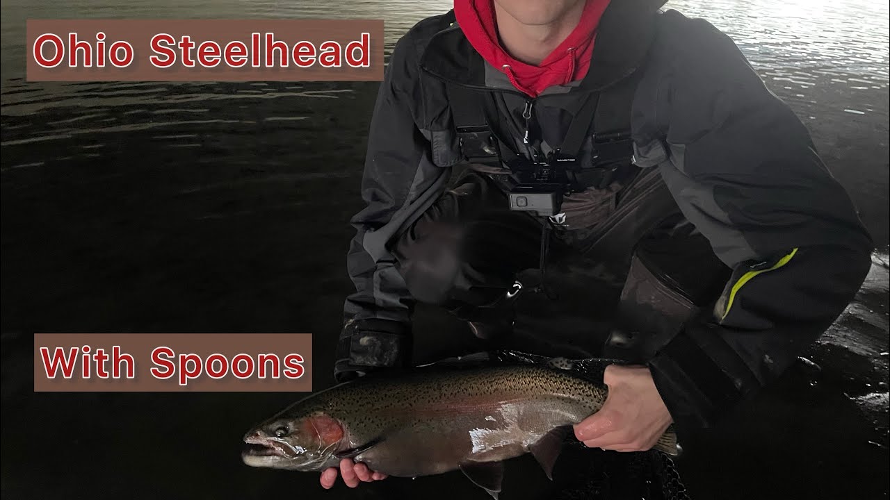 Steelhead In Ohio (Caught on SPOONS) YouTube