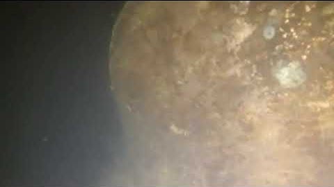 11 24 25 37 Silverton HC