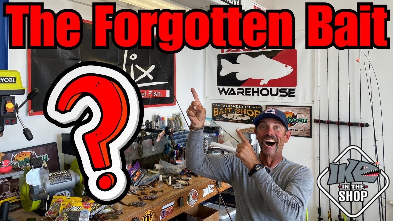 The Forgotten Bait! (Must KNOW!)