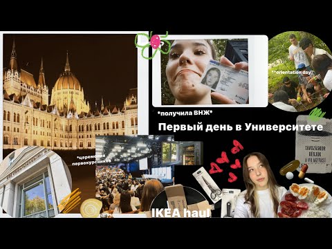 видео: Первые дни в Университете Будапешта: ☆получение ВНЖ ☆ IKEA haul☆ | цены в Венгрии(vlog2)| milana