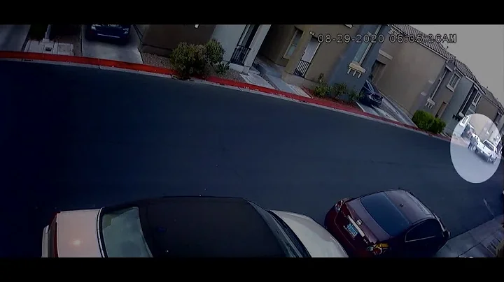 Video shows Lesly Palacio being dragged to truck, ...