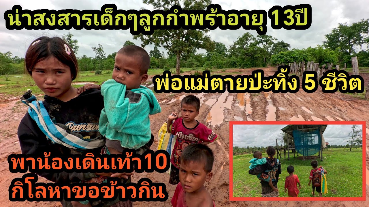 เด็กอายุ 13 ปี พ่อแม่ตายทิ้ง 5 ชีวิต พาน้องเดินเท้า 10 กว่ากิโลขอข้าวชาวบ้านกิน
