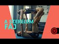 Videó borítókép