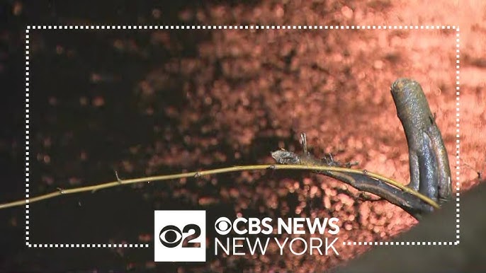 Bracing For More Flooding Along River In Wayne New Jersey