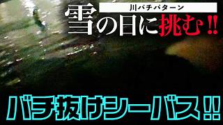 雪の日のバチ抜けシーバス!! ロンジン PIXISで釣る!!　/ 多摩川