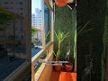 Parede Verde SEM BAGUNÇA