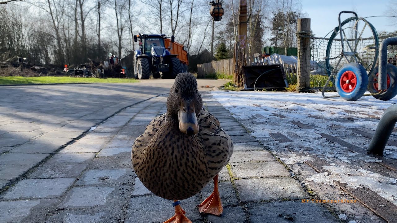 Plopsaland de Panne bouw update februari 2025. :)