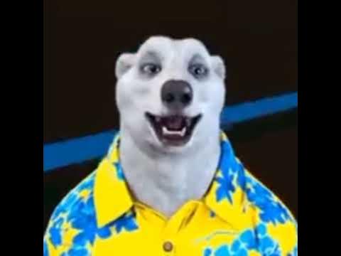 прощай рыжий кот - YouTube