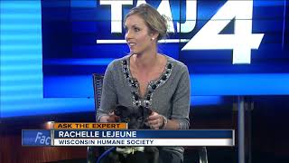 Ask the Expert: Warning signs for pets
