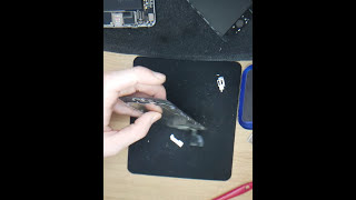 Apple Iphone 6 black - LCD disassembling to parts: Home button and Sence flex