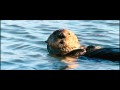 Disneynature: Oceans - Featurette (1080p)