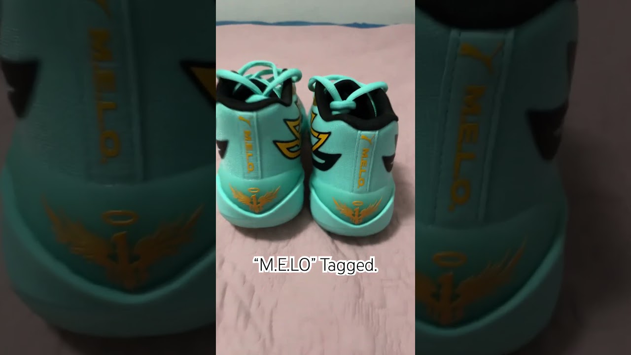 “MB.02 HoneyComb” quick overlook. 