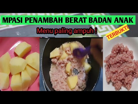 RESEP MPASI PENAMBAH BERAT BADAN ANAK - BUBUR DAGING