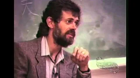 Flashbacks, Bad Trips and Programming on Psychedelics (Terence Mckenna)