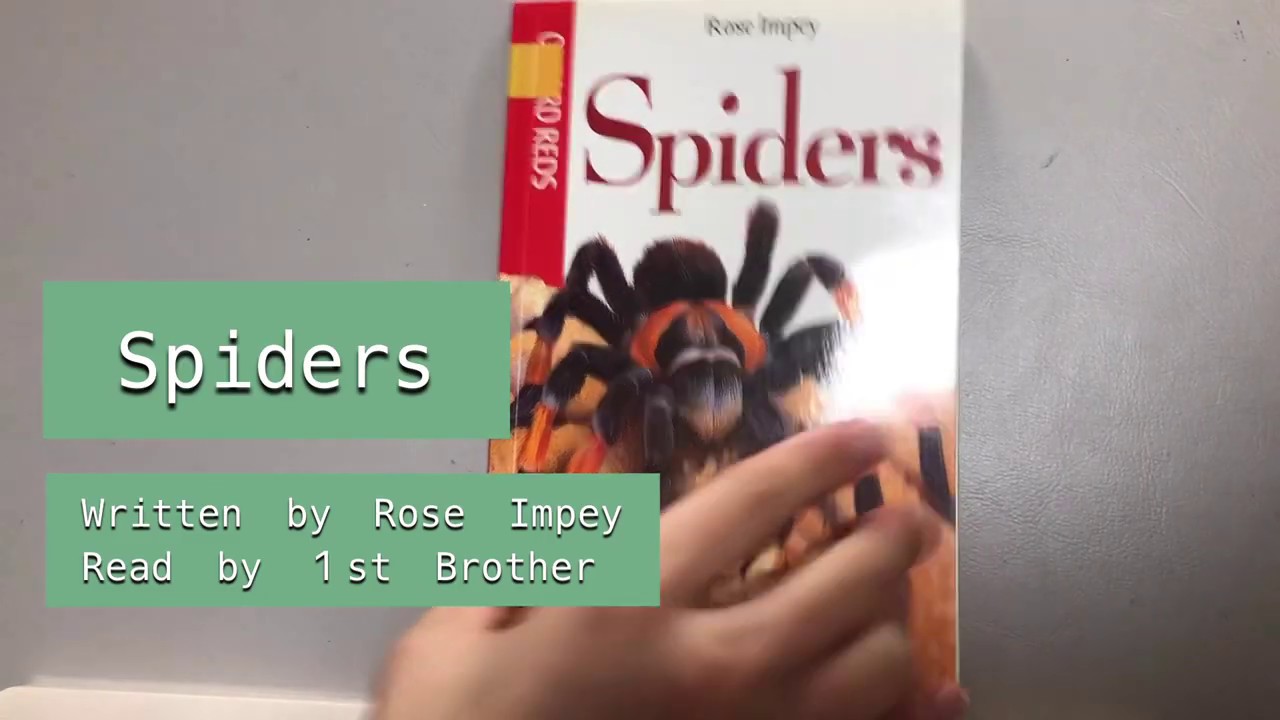 Spiders (Rose Impey) by 1st brother