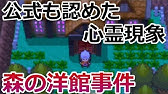 ポケモンdp 天界の笛 を吹いたら やりのはしら没イベント 光の階段の頂上で てんかいのふえ を使用してアルセウスを捕獲してみた バーチャルyoutuber Youtube