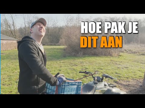 NPO schrikt van FVD-opmars in peilingen: 