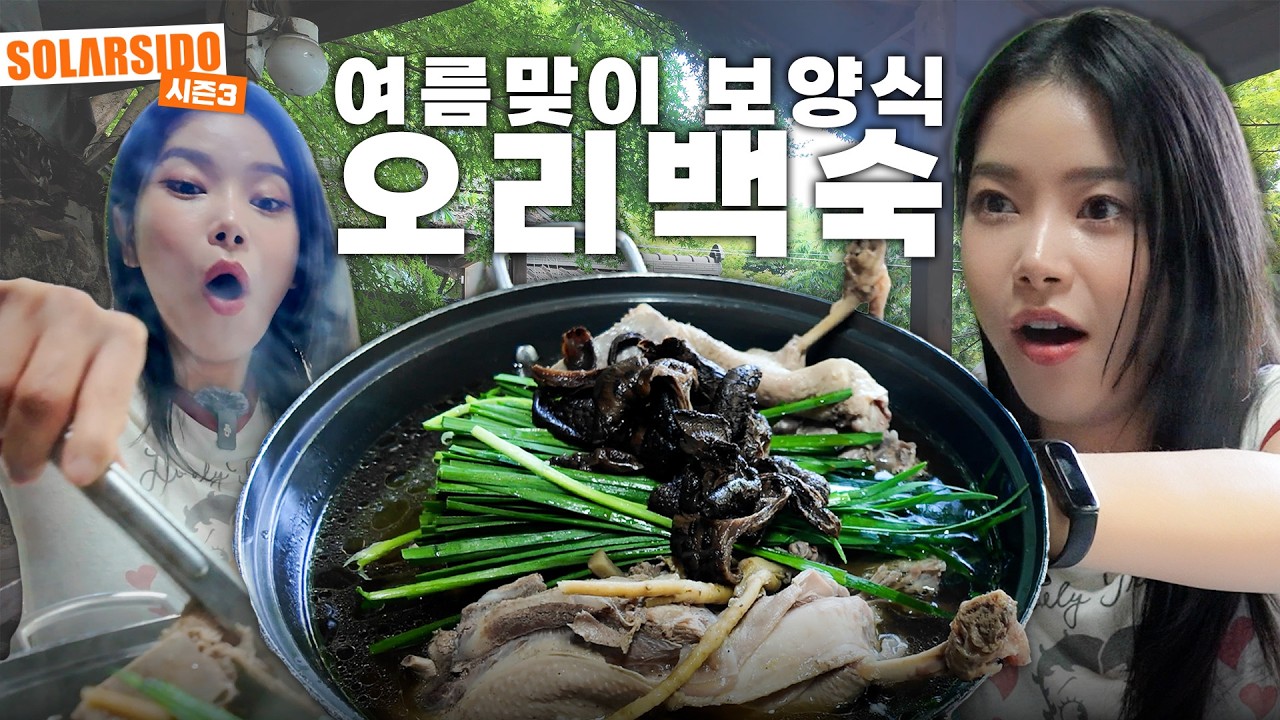 여름맞이 보양식 먹방 (능이오리백숙, 김치전)