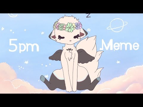 5pm | Meme